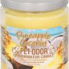 Home Goods * | Pet Odor Exterminator Pineapple Coconut Deodorizing Candle, 13-Oz Jar Online