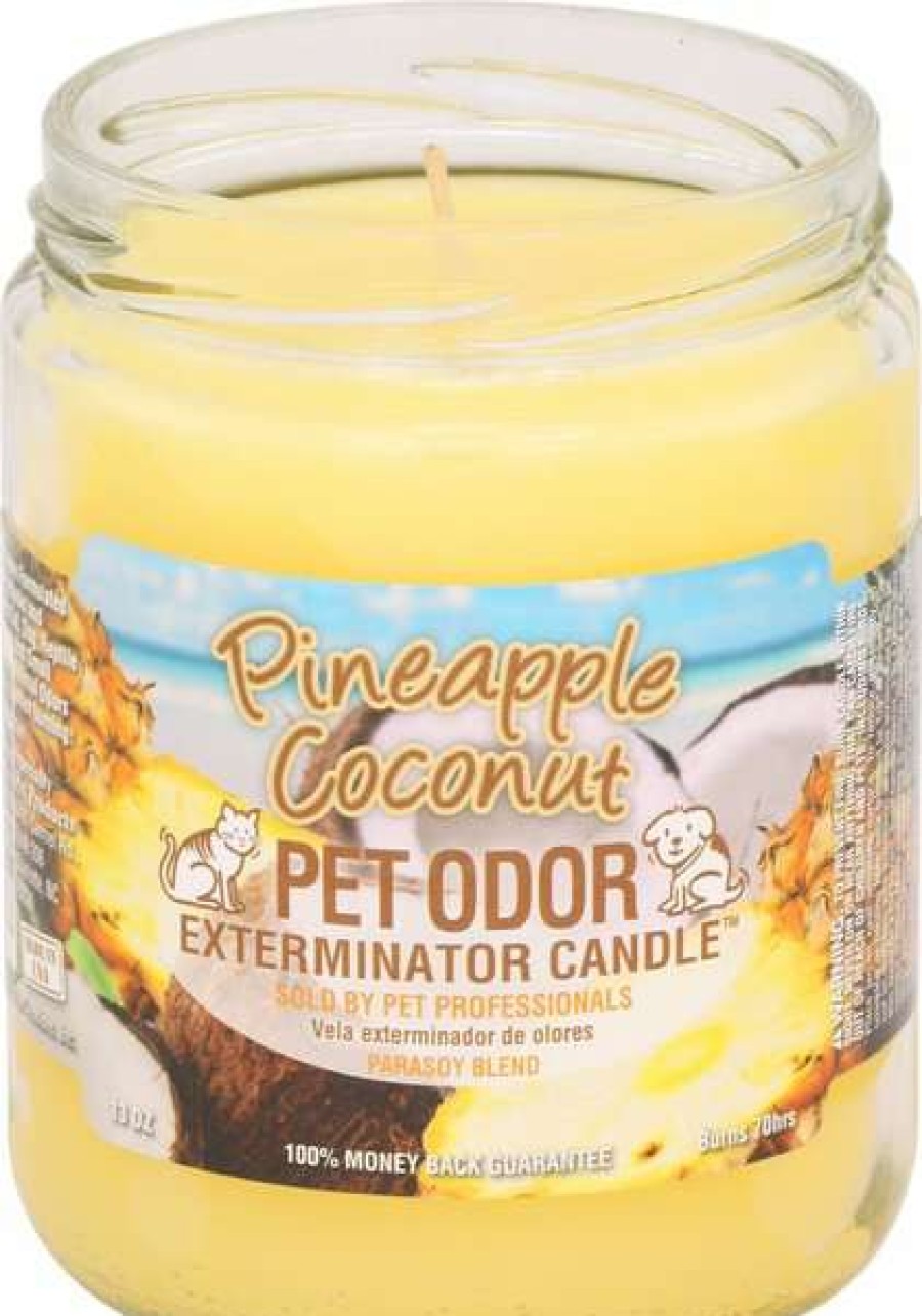 Home Goods * | Pet Odor Exterminator Pineapple Coconut Deodorizing Candle, 13-Oz Jar Online