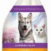 Cleaning & Potty * | Arm & Hammer Pet Scentsations Lavender Fields Deodorizing Room Spray, 18-Oz Bottle Sale