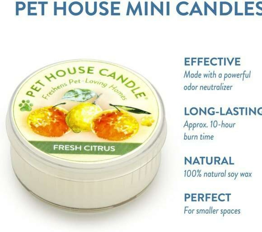 Home Goods * | Pet House Fresh Citrus Natural Soy Candle, 1.5-Oz Jar Store