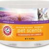 Cat * | Arm & Hammer Pet Scents Lavender Fields Deodorizing Soy Candle, 7-Oz Jar Discount