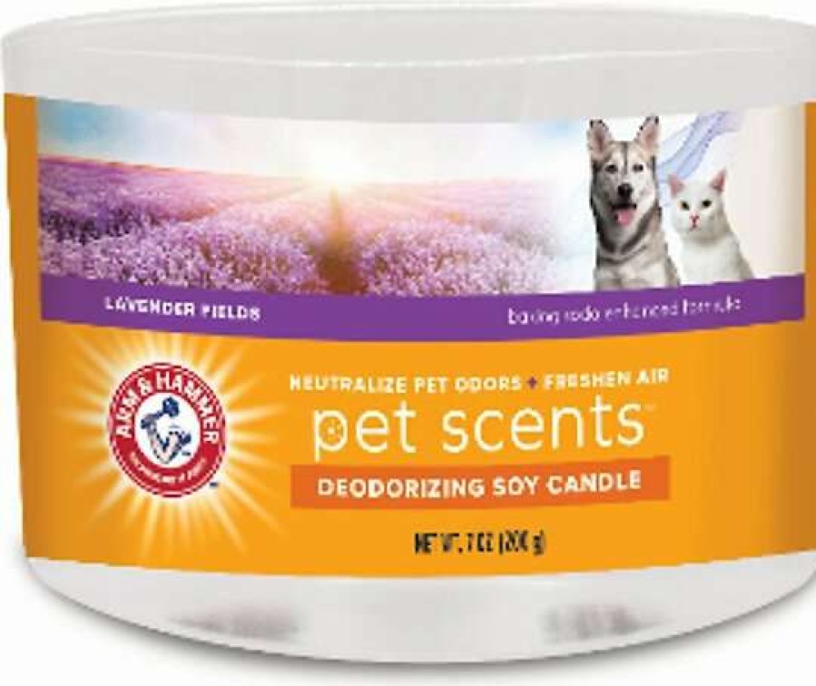 Cat * | Arm & Hammer Pet Scents Lavender Fields Deodorizing Soy Candle, 7-Oz Jar Discount