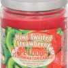 Home Goods * | Pet Odor Exterminator Kiwi Twisted Strawberry Deodorizing Candle Jar, 13-Oz Jar Promotions