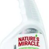 Cat * | Nature'S Miracle Just For Cats Stain & Odor Remover Spray Melon Burst, 32-Oz Bottle Free Delivery