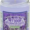 Home Goods * | Pet Odor Exterminator Lavender & Chamomile Deodorizing Candle, 13-Oz Jar Discount