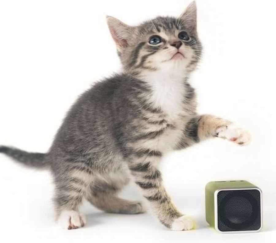 Cat * | Pet Acoustics Pet Tunes Calming Music Cat Speaker Shop