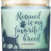 Home Goods * | Pet House Ocean Breeze Natural Soy Sentiment Candle, 9-Oz Jar Shop