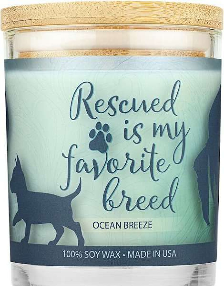 Home Goods * | Pet House Ocean Breeze Natural Soy Sentiment Candle, 9-Oz Jar Shop