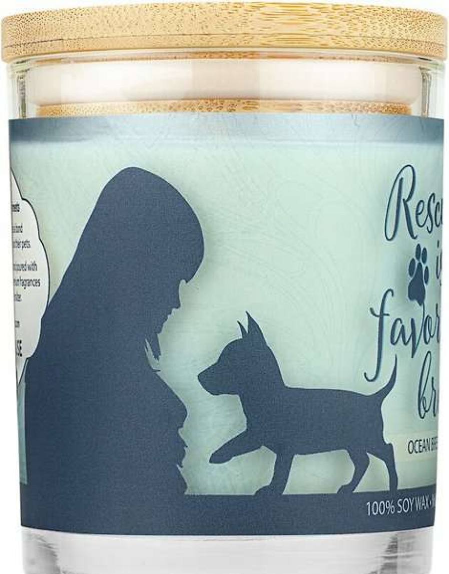 Home Goods * | Pet House Ocean Breeze Natural Soy Sentiment Candle, 9-Oz Jar Shop