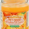 Home Goods * | Pet Odor Exterminator Orange Lemon Splash Deodorizing Candle, 13-Oz Jar Hot Sale