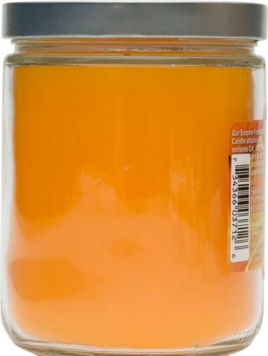 Home Goods * | Pet Odor Exterminator Orange Lemon Splash Deodorizing Candle, 13-Oz Jar Hot Sale