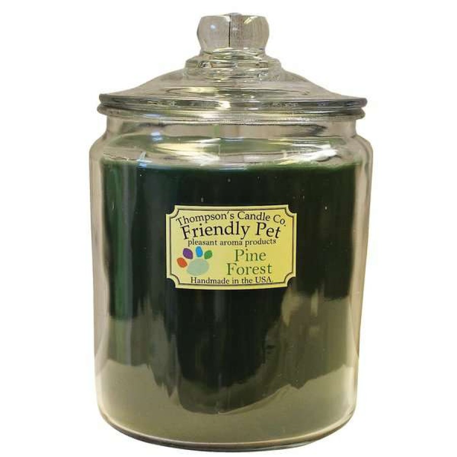 Home Goods * | Thompson'S Candle Co. Pine Forest Scented Friendly Pet Heritage Jar 3 Wick Candle Discount