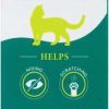 Cat * | Bserene Pheromone & Catnip Oil Calming Spray For Cats, 2-Oz Discount