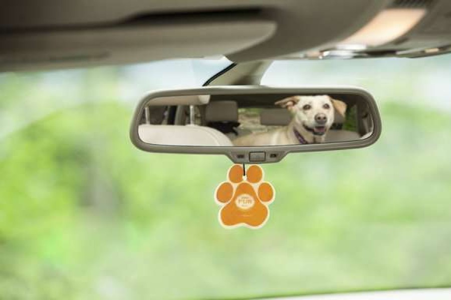 Cleaning & Potty * | Pet House Mandarin Sage Car Air Freshener Online