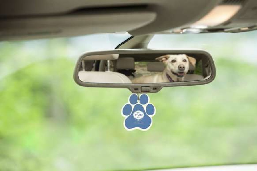 Cat * | Pet House Lilac Garden Car Air Freshener Promotions