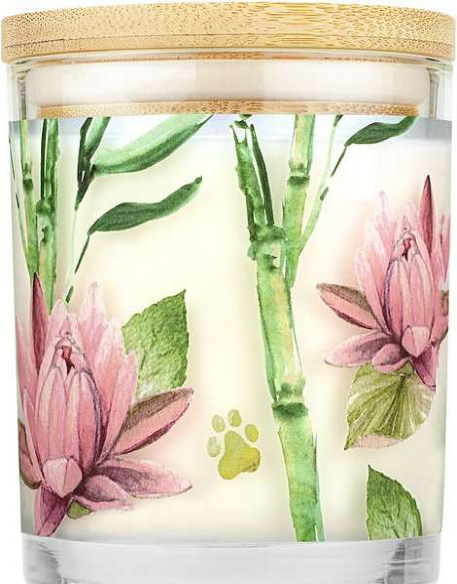 Home Goods * | Pet House Bamboo Watermint Natural Soy Candle, 9-Oz Jar Online