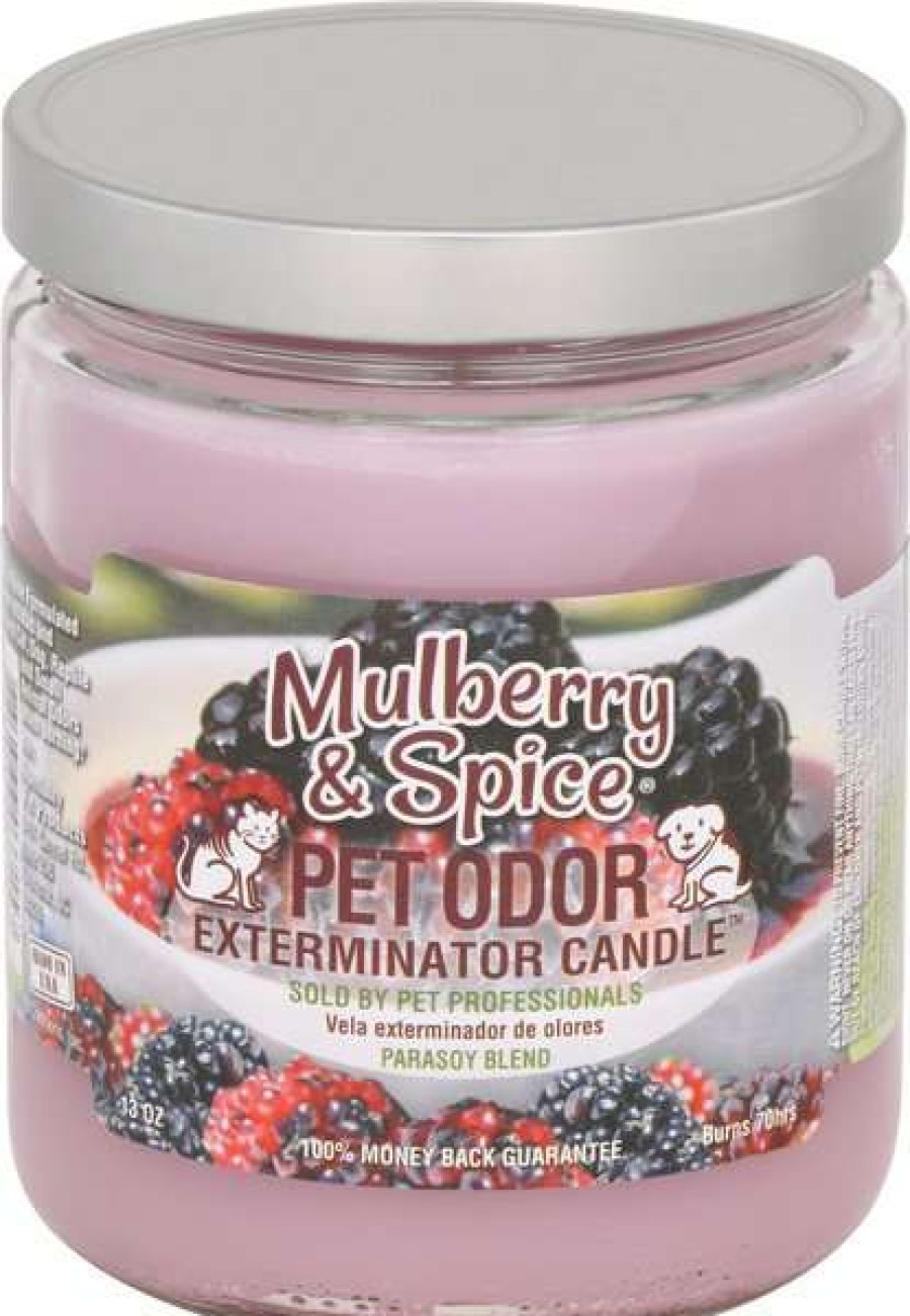 Home Goods * | Pet Odor Exterminator Mulberry & Spice Deodorizing Candle, 13-Oz Jar Outlet