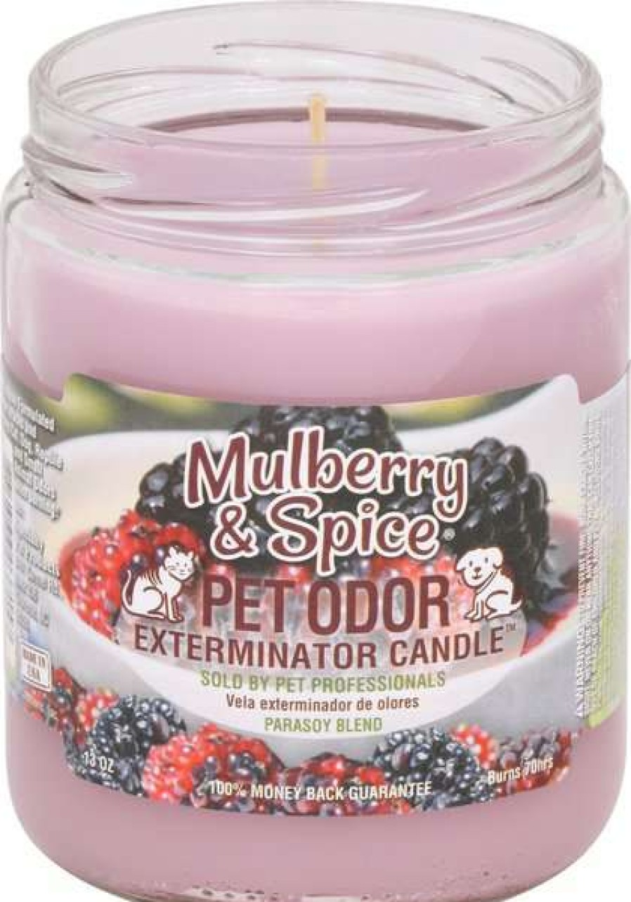 Home Goods * | Pet Odor Exterminator Mulberry & Spice Deodorizing Candle, 13-Oz Jar Outlet