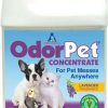 Cleaning & Potty * | Alpha Tech Pet Inc. Odorpet Lavender Fragrance Stain & Pet Odor Remover Promotions