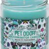 Home Goods * | Pet Odor Exterminator Sugar Skull Deodorizing Candle, 13-Oz Jar Hot Sale