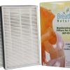 Cleaning & Potty * | Breathe Naturally Replacement Hepa Filters For Idylis "C" Iap-10-200 Series Air Purifiers, 2 Count Promotions