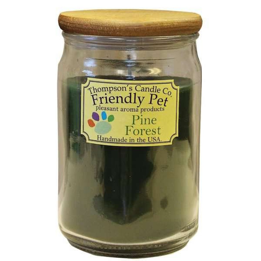 Home Goods * | Thompson'S Candle Co. Pine Forest Scented Friendly Pet Candle Hot Sale