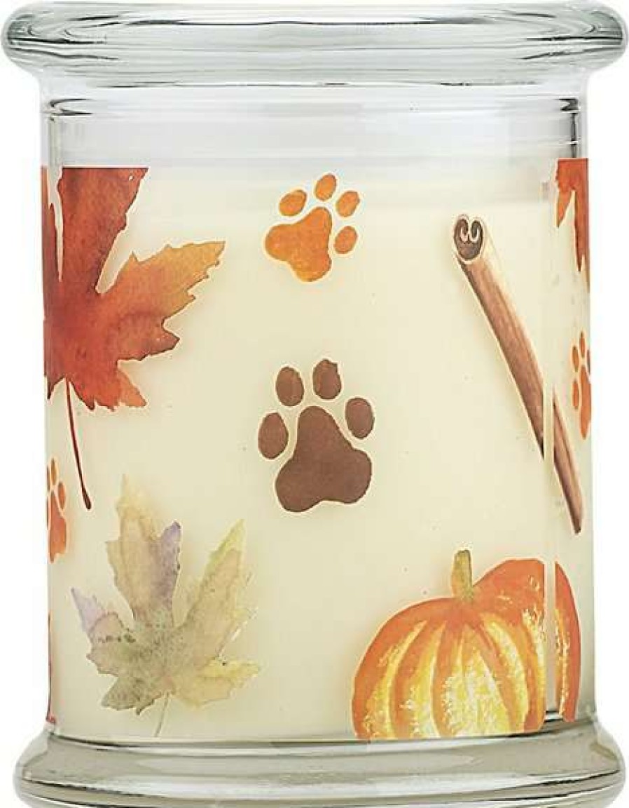 Home Goods * | Pet House Pumpkin Spice Natural Soy Candle, 9-Oz Jar Shop