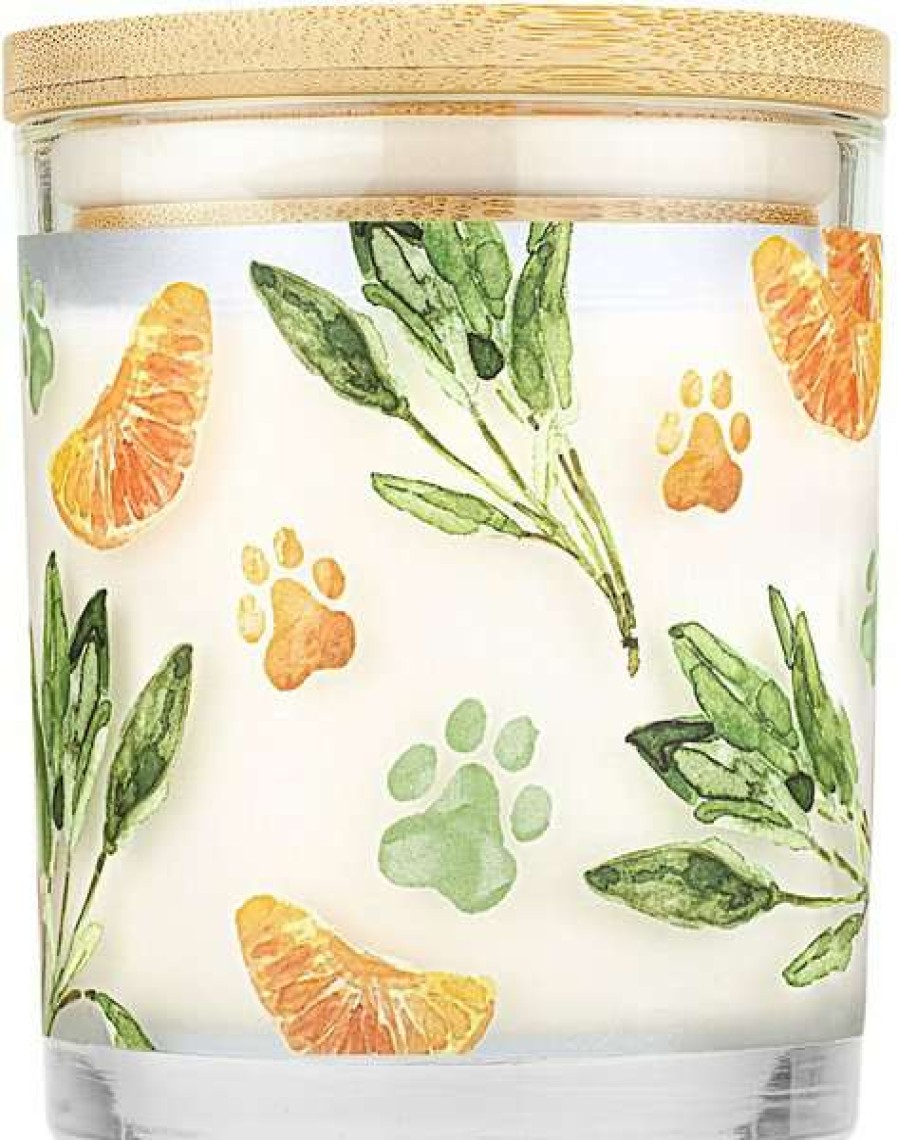 Home Goods * | Pet House Mandarin Sage Natural Soy Candle, 9-Oz Jar Shop